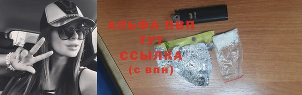 сатива Михайловка