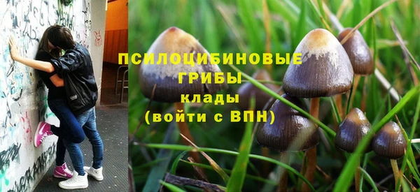 прущие крисы Бежецк