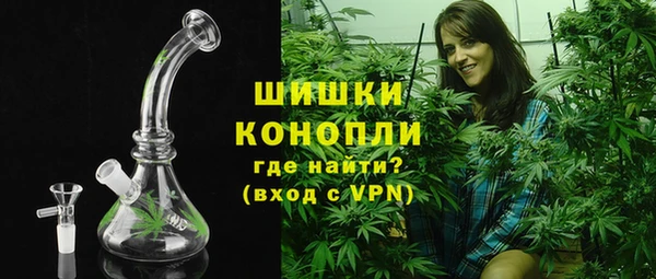 сатива Михайловка