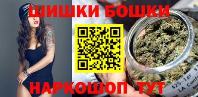 хмурый Бийск