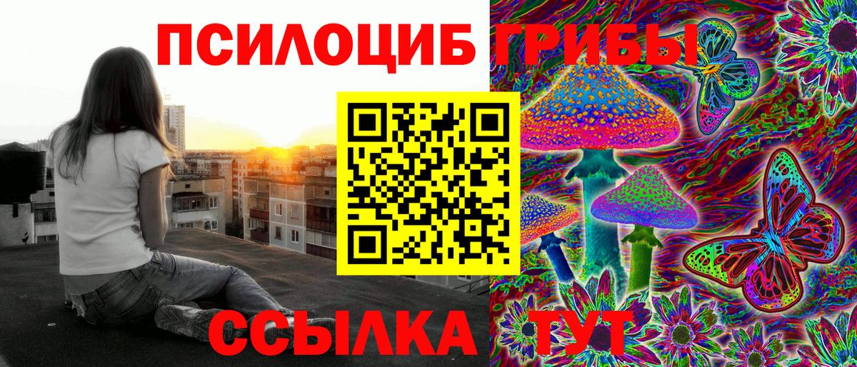 купить закладку  Вход с VPN  Дубна  Галлюциногенные грибы мухоморы 