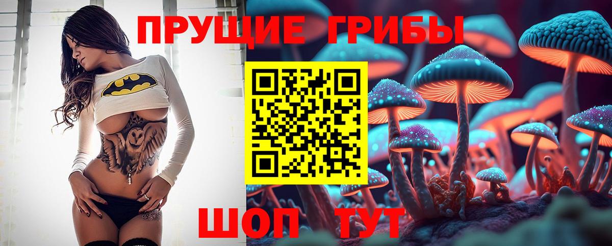Галлюциногенные грибы Psilocybe Дубна
