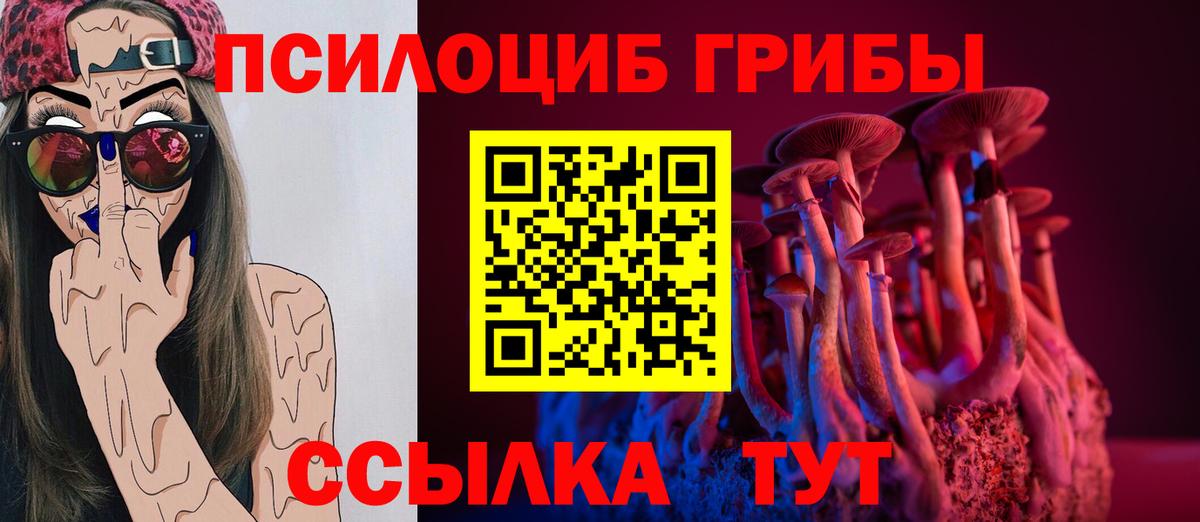 Галлюциногенные грибы прущие грибы Дубна