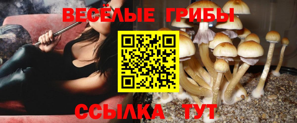 COCAIN  МЕТАМФЕТАМИН  ЭКСТАЗИ  Дубна  ГЕРОИН  Вход с VPN  Мефедрон  ГАШ  Конопля  ГАШИШ  Меф кристаллы 
