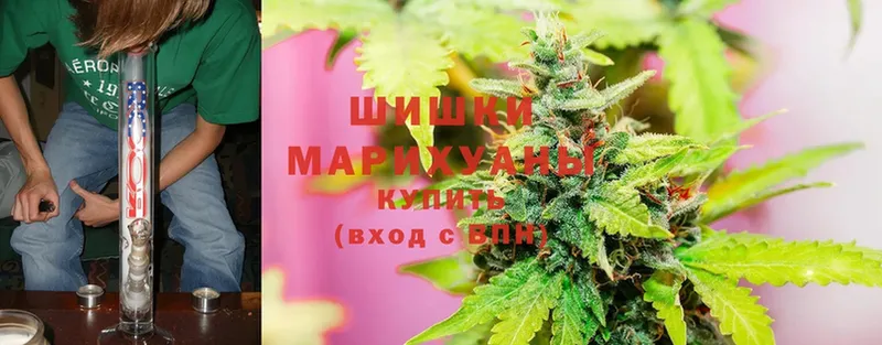 Шишки марихуана THC 21%  Дубна 