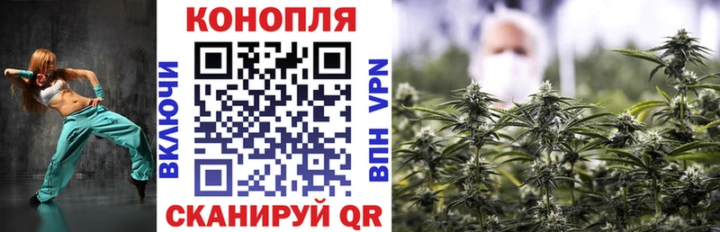 Шишки марихуана план  где найти   Дубна 